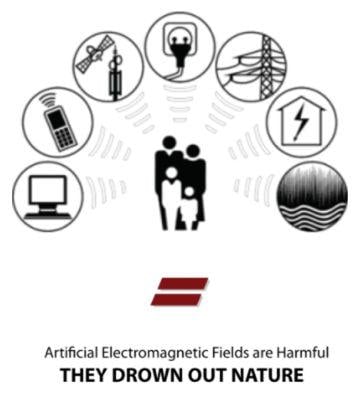 earthing and emf protection symbols